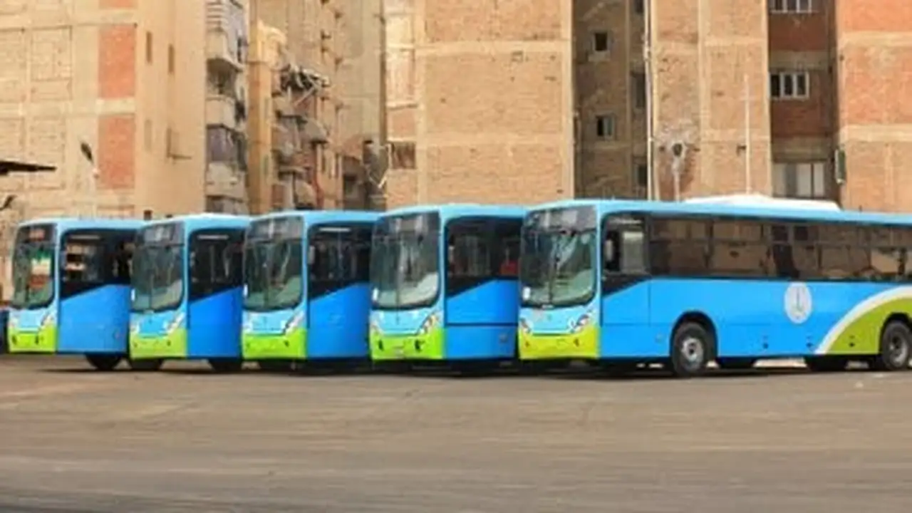 خطة خاصة لنقل المشجعين في الإسكندرية لمباراة مصر والأرجنتين